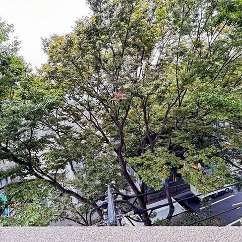 ドミール烏山の室内写真