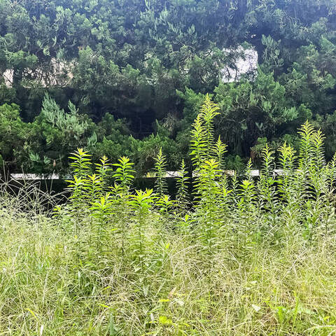 ステージ山王グランドヒルズの室内写真