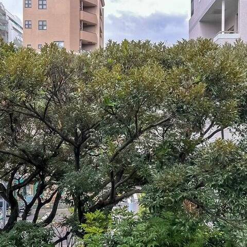 グランドメゾン戸山の室内写真