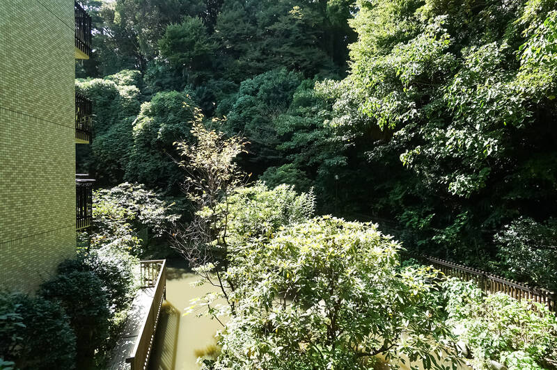 正面には池とたっぷりのグリーン。鳥のさえずりや、風にそよぐ葉音が心地よい……。ここはもう軽井沢。(?)