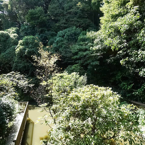 パークハイム南軽井沢の眺望・バルコニー写真