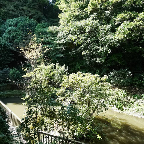 パークハイム南軽井沢の建物・共用部写真