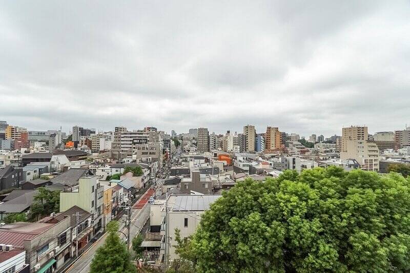 視界を遮るもののない爽快な眺めに、思わずニンマリ。右手には、近隣のお寺の豊かな緑がこんもり。そして眼下に延びているのは、先ほど歩いてきた言問通りです。