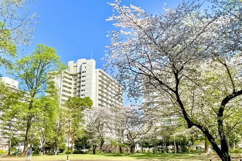 <p>春色に染まる「戸山公園」を最後にご紹介。満開の桜の木の下で過ごす日が、今から待ち遠しいですね〜。</p>