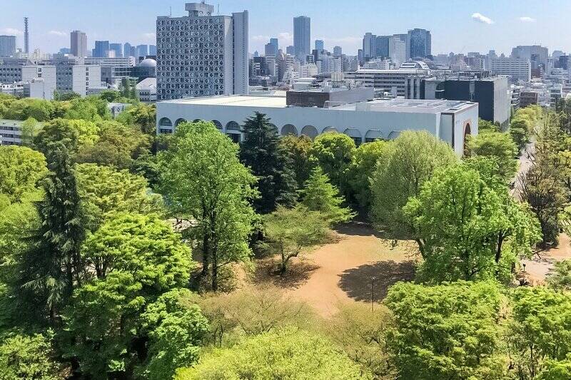<p>右手に目を向けると、「戸山公園」のグリーンが広がります。季節ごとに紅葉や桜が彩りを添え、自然の移ろいを感じられますよ。</p>