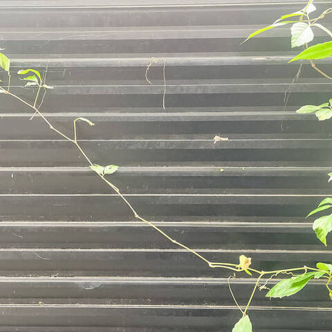 セボン高輪の室内写真