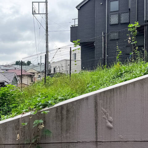 妙蓮寺東パーク・ホームズの室内写真