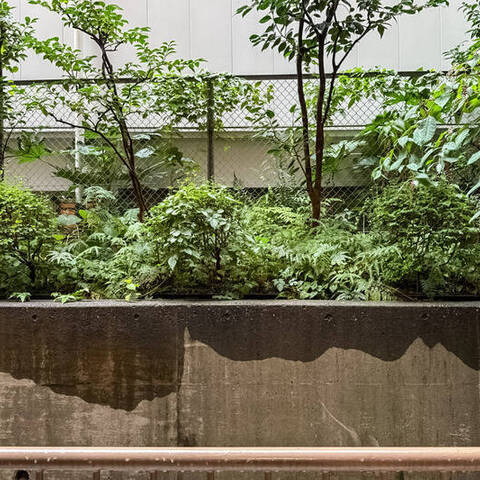 シャンボール恵比寿の室内写真