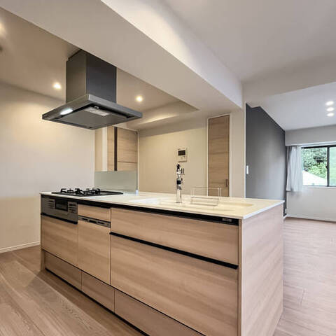 上野毛南パークホームズの室内写真