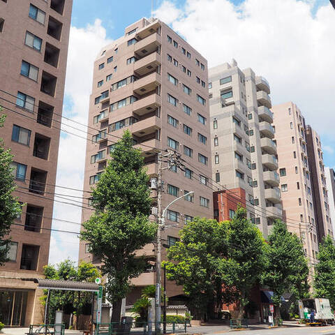 エクレーヌ本駒込の建物・共用部写真