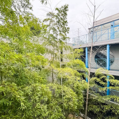 目黒ロイアルハイツの建物・共用部写真