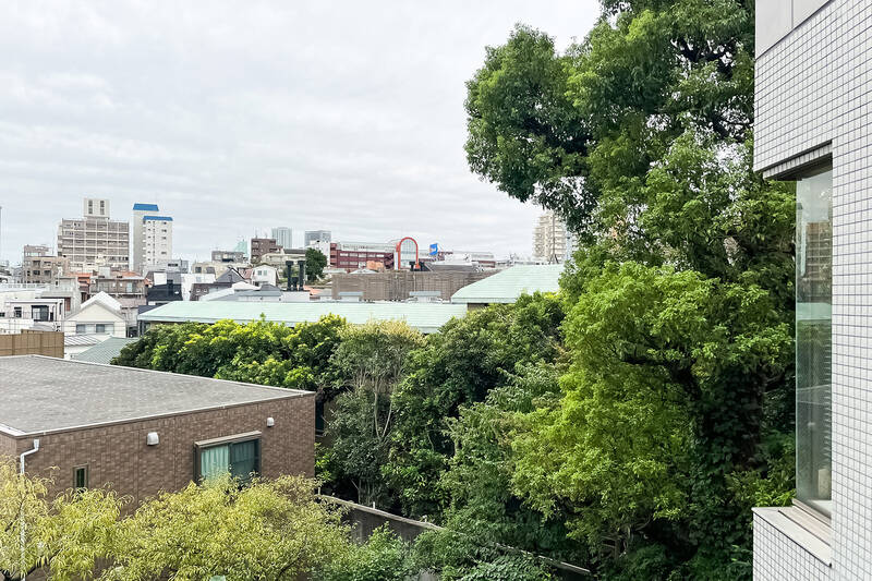 ここが山手通りの近くであることを忘れてしまいそうな景色。視界の半分を緑が占め、空も大きく見えています。