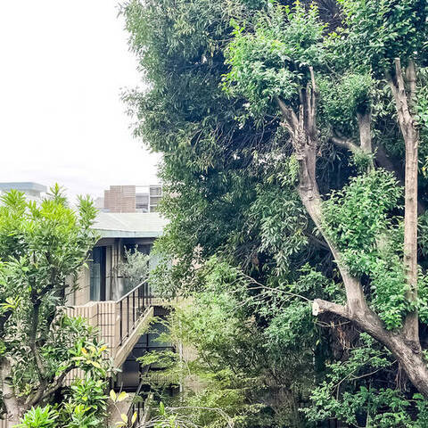 目黒ロイアルハイツの眺望・バルコニー写真