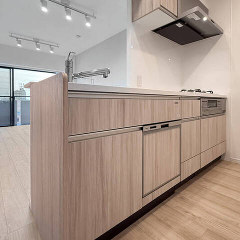 ライオンズガーデン川崎の室内写真