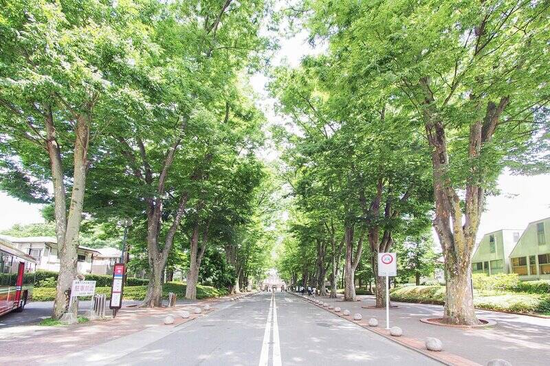 <p>心地よい並木道が続く「成蹊大学」。緑のアーチをジョギングコースにするのもいいですね。(徒歩14分)</p>