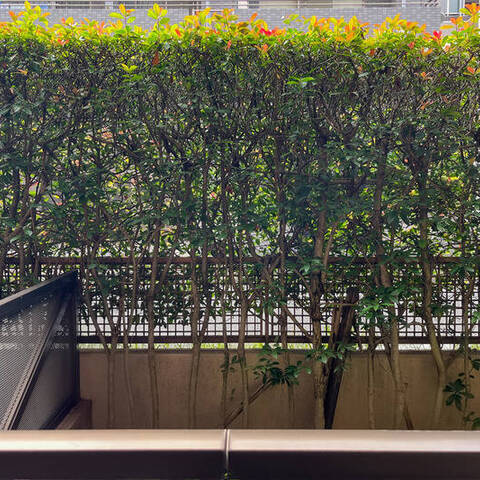 マンションアクロス代々木の室内写真