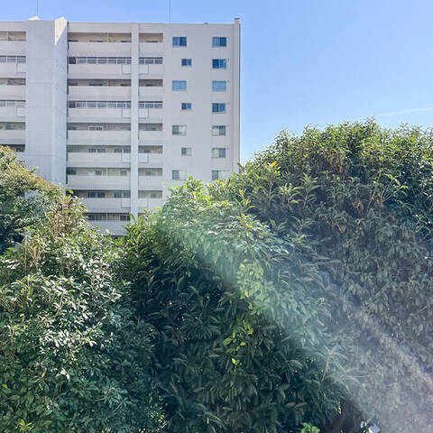 馬事公苑前ハイム2号棟（北棟）の室内写真