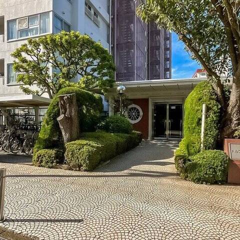 ドルフ都立大の建物・共用部写真