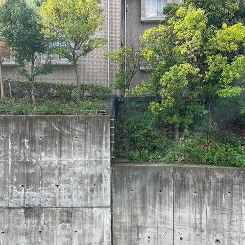 サンリーノ日吉コートの眺望・バルコニー写真