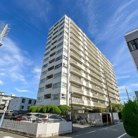 ドルフ都立大の建物・共用部写真