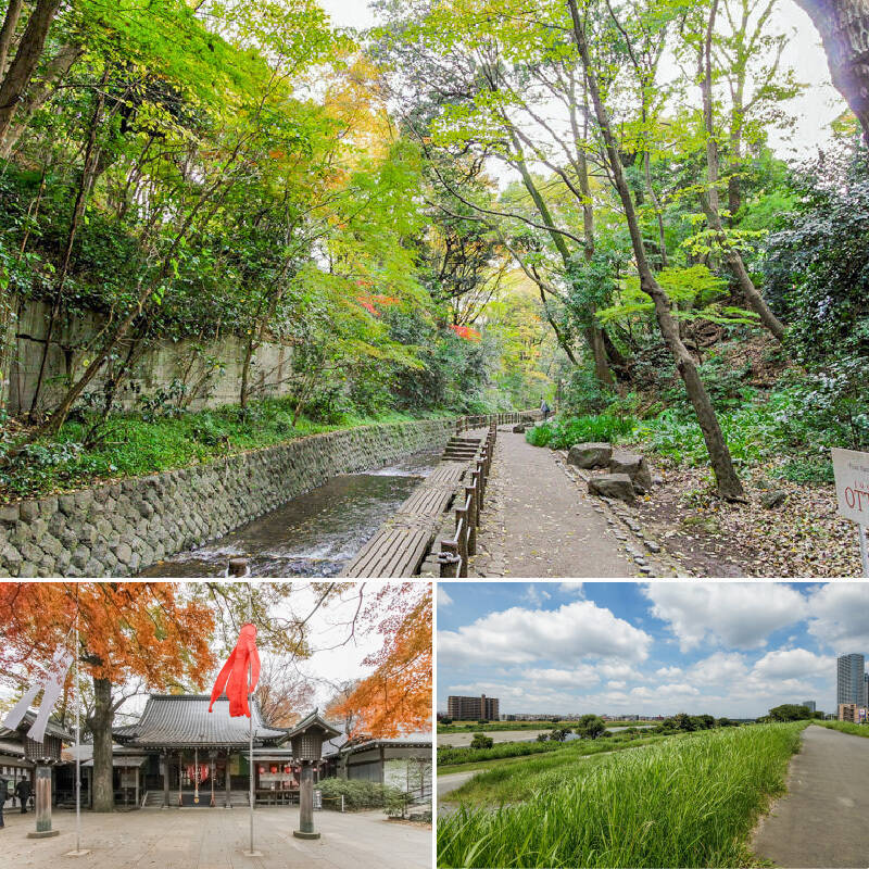 <b>上・</b>都内で唯一の渓谷であり、パワースポットとも言われている「等々力渓谷」。2025年10月現在は一部で通行止めがありますが、小川と豊かな緑に囲まれ森林浴を楽しめます。(徒歩7分)/<b>左下・</b>渓谷のすぐそばに位置する「等々力不動尊」。紅葉もいいですが、春の桜もきれいなんですよ。(徒歩9分)/<b>右下・</b>多摩川の河川敷もすぐ近く。朝のランニングが日課になりそう。(徒歩3分)<br>