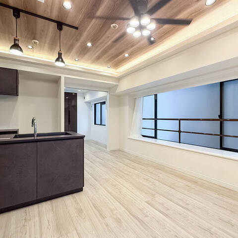 ダイアパレス元浅草2ハイブリッドステージの室内写真