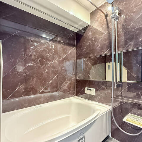 ダイアパレス元浅草2ハイブリッドステージの室内写真