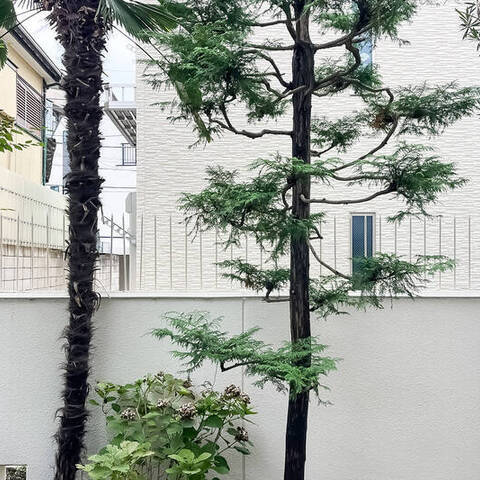 東急ドエルアルス碑文谷の室内写真