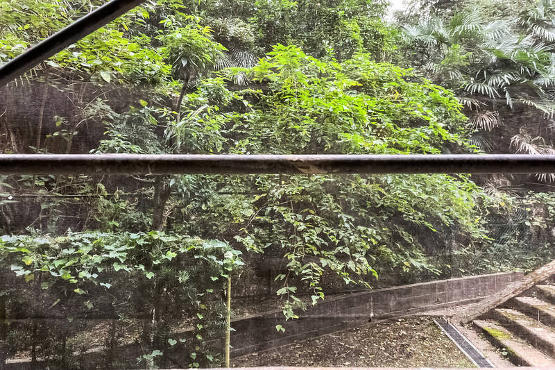 2025年11月現在大規模修繕工事中のためシートがかかっていますが、『そんなのお構いなし』と言わんばかりにアピールしてくるグリーン。日光は届きづらいですが、このビューとのトレードオフと割り切るのがよさそう。