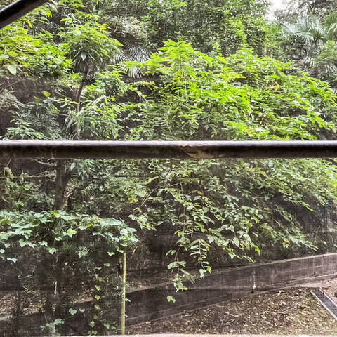 藤和日吉ホームズの眺望・バルコニー写真