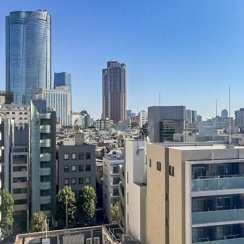 日神パレステージ西麻布の眺望・バルコニー写真