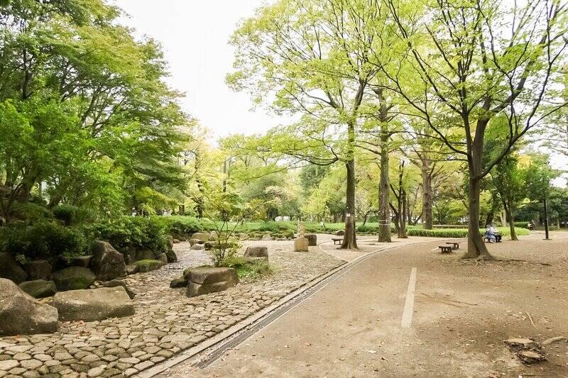 「<b>井草森公園</b>」は、遊具や水遊び場、夏休みにデイキャンプができる広場のある公園。そして<b>犬連れもOK</b>！ 一帯は広域避難場所として指定されており、災害時には「防災公園」として機能するよう、ゲートシャワーやスプリンクラーなど、さまざまな施設を備えています。（徒歩6分）