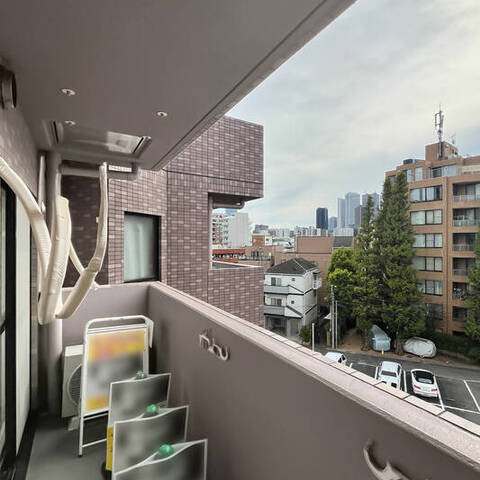 ロイヤルパレス東中野の室内写真