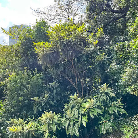 ウェリス麻布狸穴の室内写真