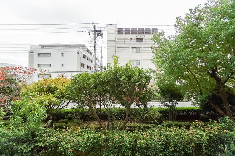 外に出ると、視界いっぱいに植栽の緑が広がります♡ 道路とは植栽分の距離が取れているおかげで、人や車の通行は特に気にならなさそう。古いマンションならではの贅沢な建て方に感謝カモ。