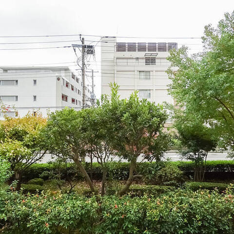 大倉山ハイム1号棟の眺望・バルコニー写真