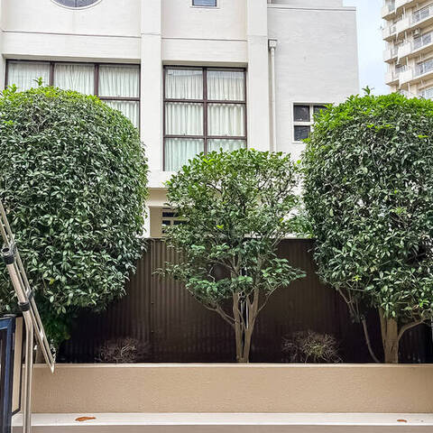 朝日シティパリオ高井戸の室内写真