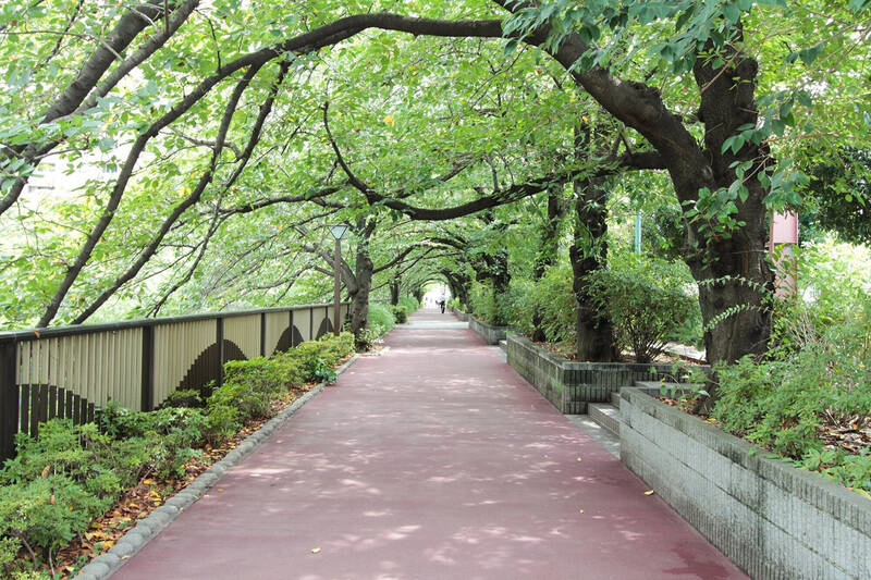 お目当てのマンションは、駅から歩くこと10分。目黒川沿いの緑の下を歩くルートがおすすめです。