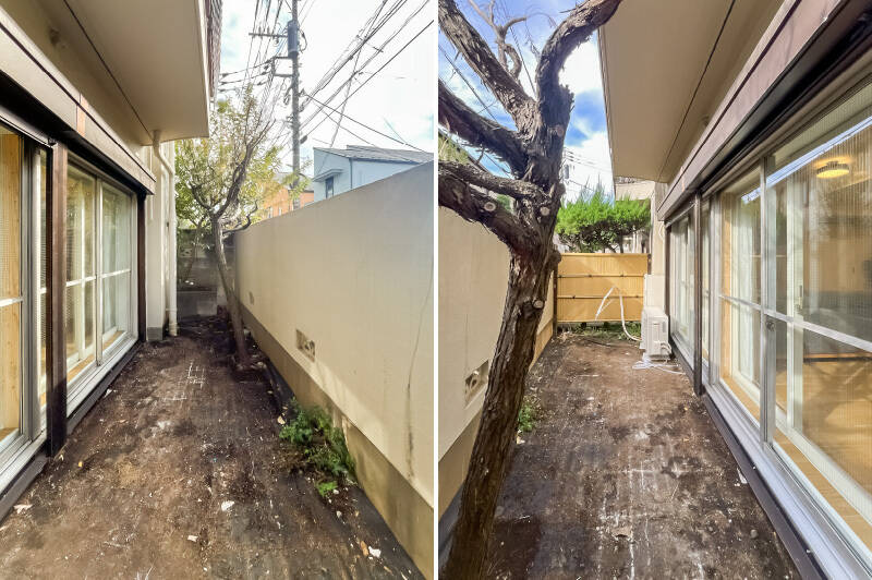 塀は高さがあるため、道路からの視線はしっかりと遮られていますよ。