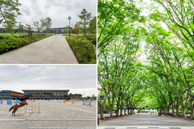 ご紹介するのは、自然豊かな「馬事公苑」まで徒歩2分という恵まれた立地の住まい。「馬事公苑」はJRAが運営する公園で、馬の訓練や運動の様子を見ることができます。四季折々の自然を楽しめる絶好のお散歩スポットであり、「JRAホースショー」などのイベントもひんぱんに開催されていますよ!