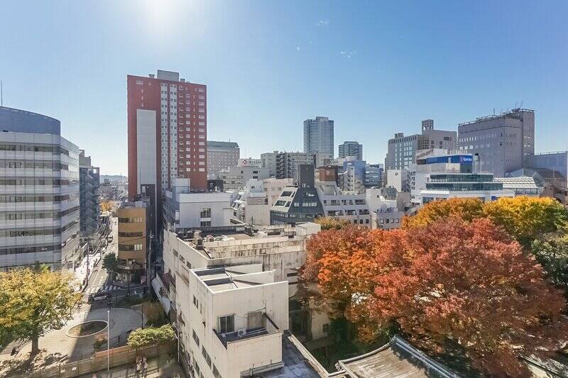 南側の眺望。眼下には紅葉した木々と、向かいの敷地にある保育園の園庭が見えます。