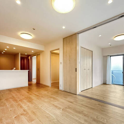 セレナハイム隅田公園ビューステージの室内写真