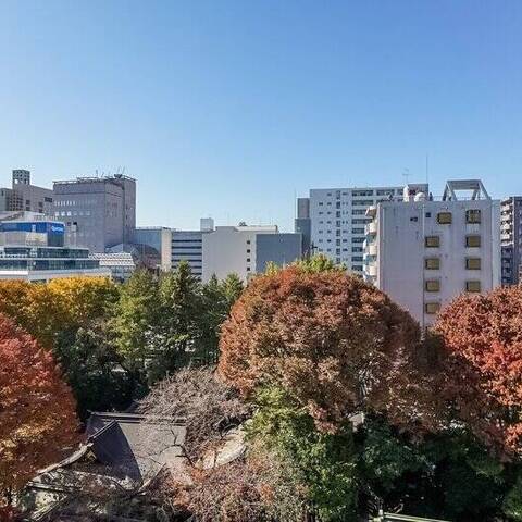 チサンマンション八王子の眺望・バルコニー写真