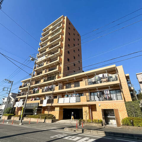 グリーンミユキ太田窪の建物・共用部写真