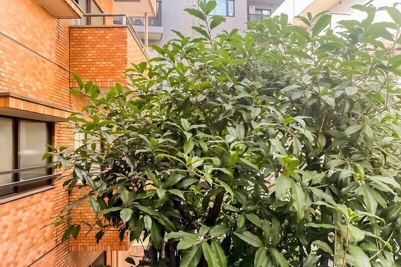 隣戸との距離は近いですが、正面にある植栽が視線を和らげてくれますよ。