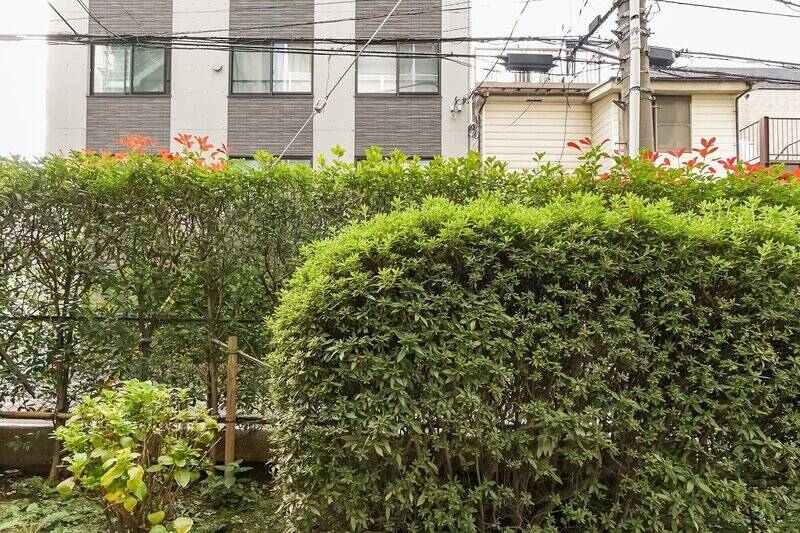 1階に所在する住戸のため、正面には道路が。ただし、きれいに手入れされた植栽が視線を遮っている印象です。