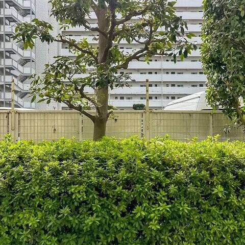 蓮根パーク・ホームズの室内写真