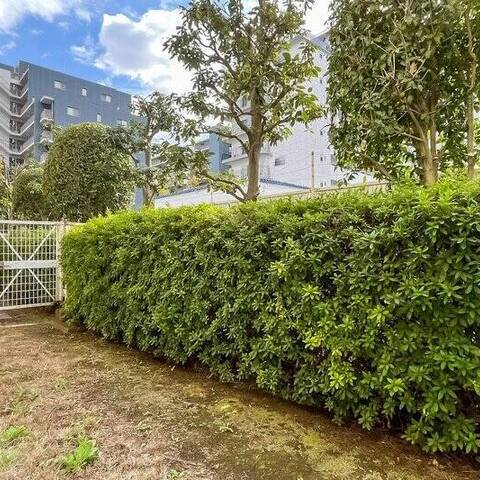 蓮根パーク・ホームズの室内写真