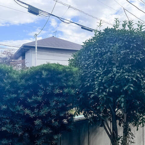 経堂オリエントコートの室内写真