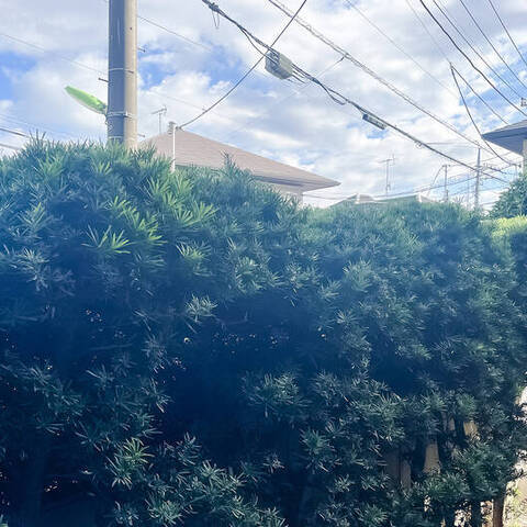 経堂オリエントコートの室内写真